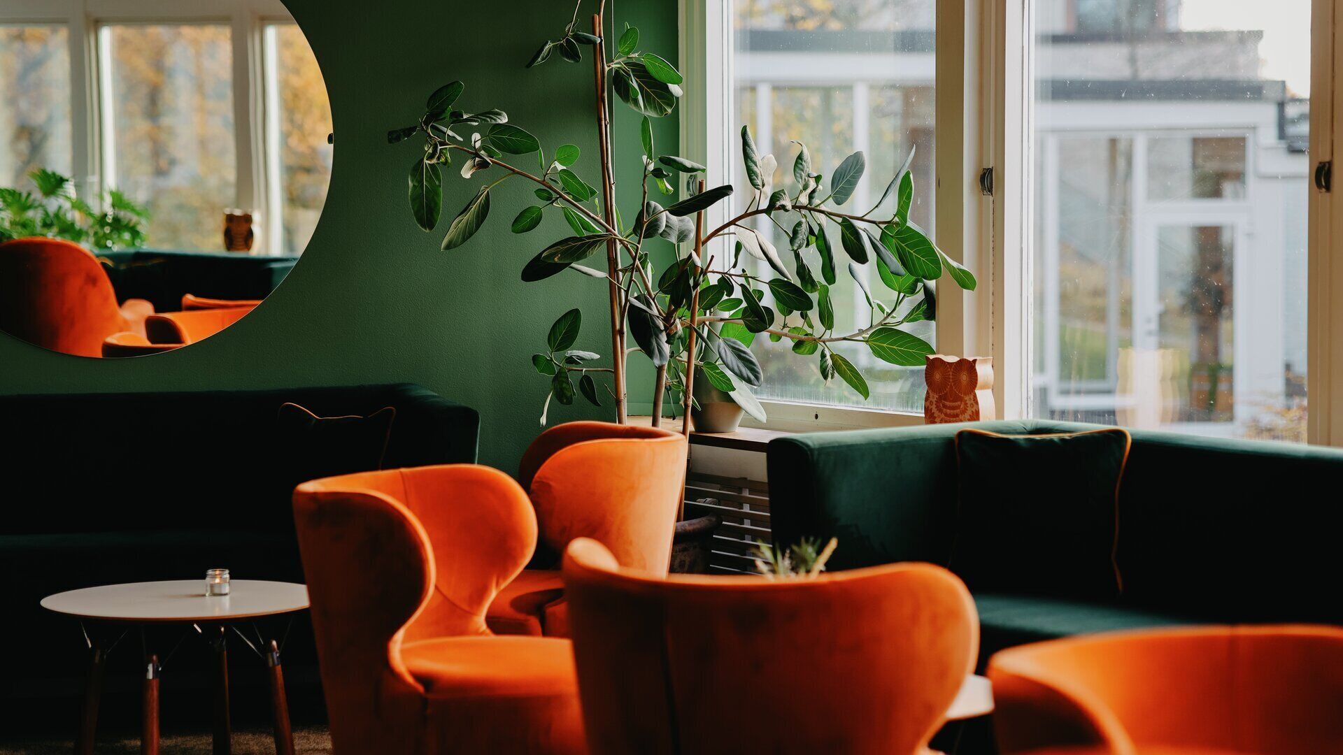 A cozy room with orange chairs, a green sofa, and a large plant.