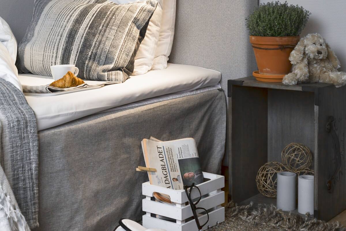 A neatly arranged bedroom with a grey upholstered headboard, a bedside lamp, a potted plant, and a small dog.