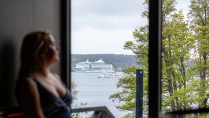 A person sitting by a window overlooking a cruise ship on a body of water, with trees and a cloudy sky in the background. - Villa Lovik (Lidingo)