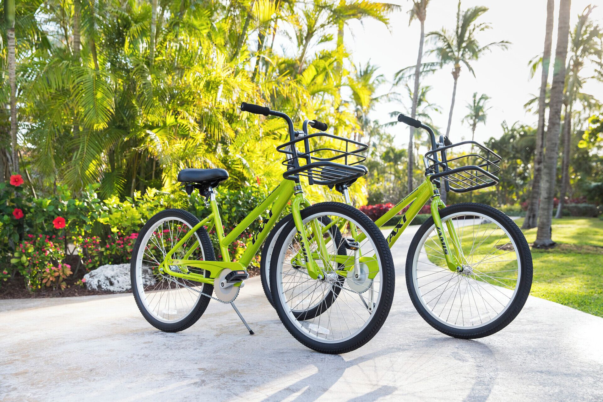 Ein grünes Fahrrad mit Korb und Sitz, geparkt auf einer Betonfläche, im Hintergrund ein Garten und Palmen.