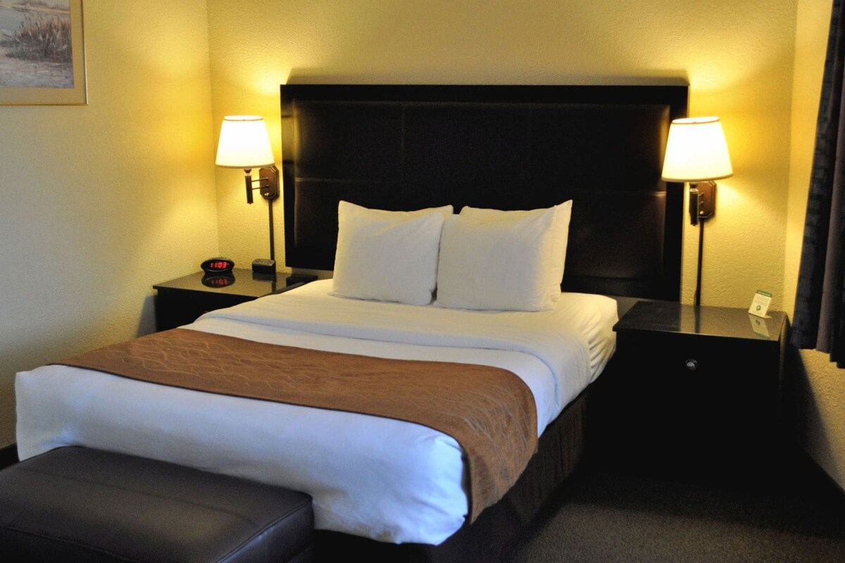 Ropa de cama de alta calidad, escritorio y cortinas blackout 