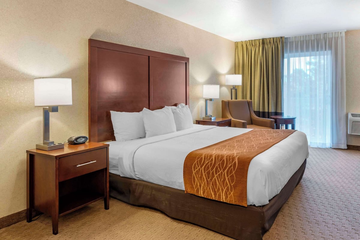 Room, 1 King Bed, Accessible, Non Smoking | Premium bedding, desk, blackout drapes, iron/ironing board
