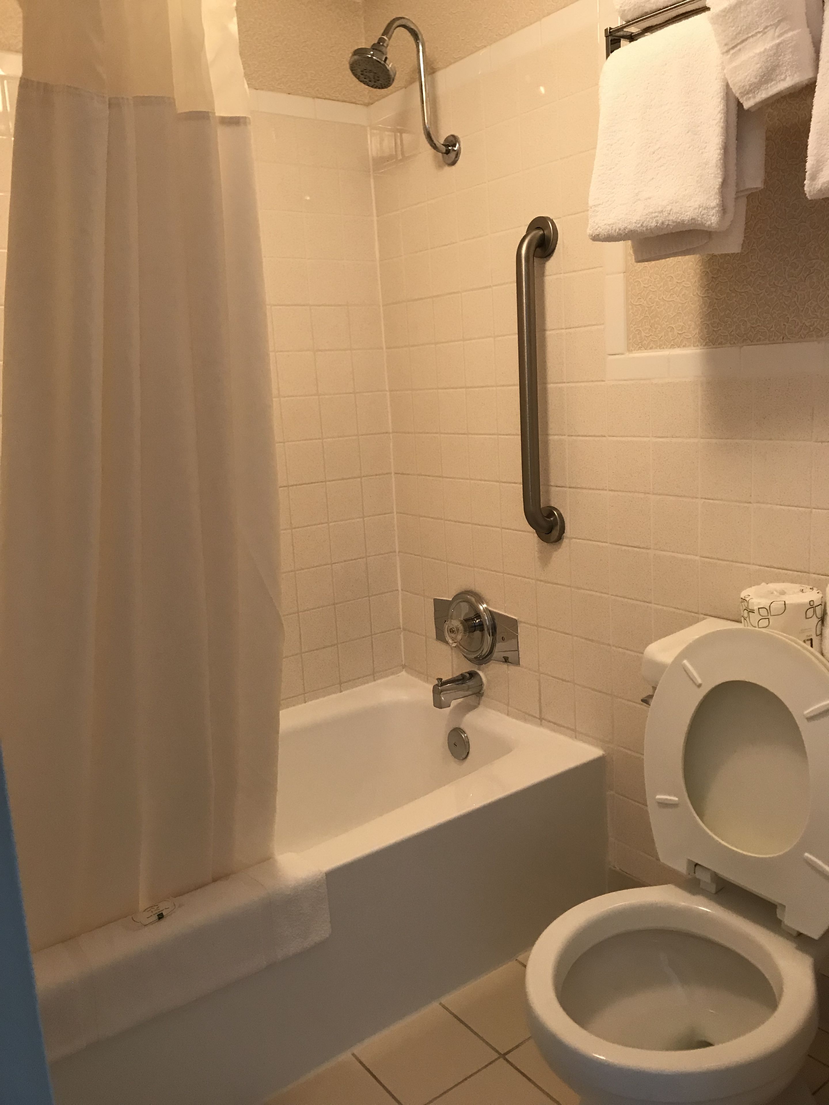 A bathroom with a bathtub, a toilet, and a shower with a grab bar.