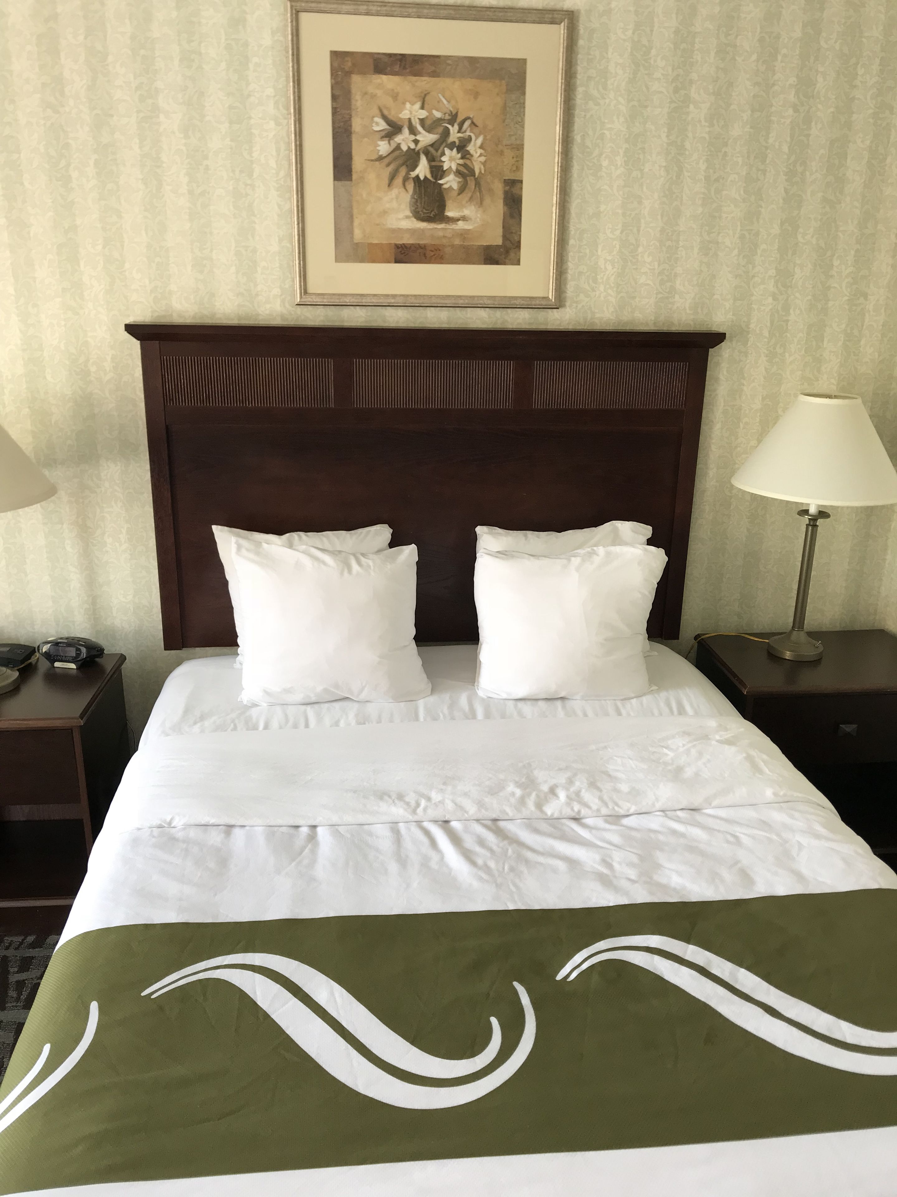 A hotel room with a large bed, two pillows, a nightstand with a lamp, a framed picture on the wall, and a patterned carpet.