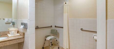 Un baño con lavabo, espejo, inodoro y zona de ducha accesible para sillas de ruedas.