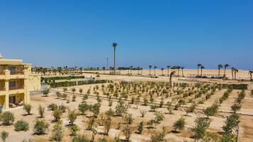 A hotel with a courtyard featuring rows of trees and a pool area.