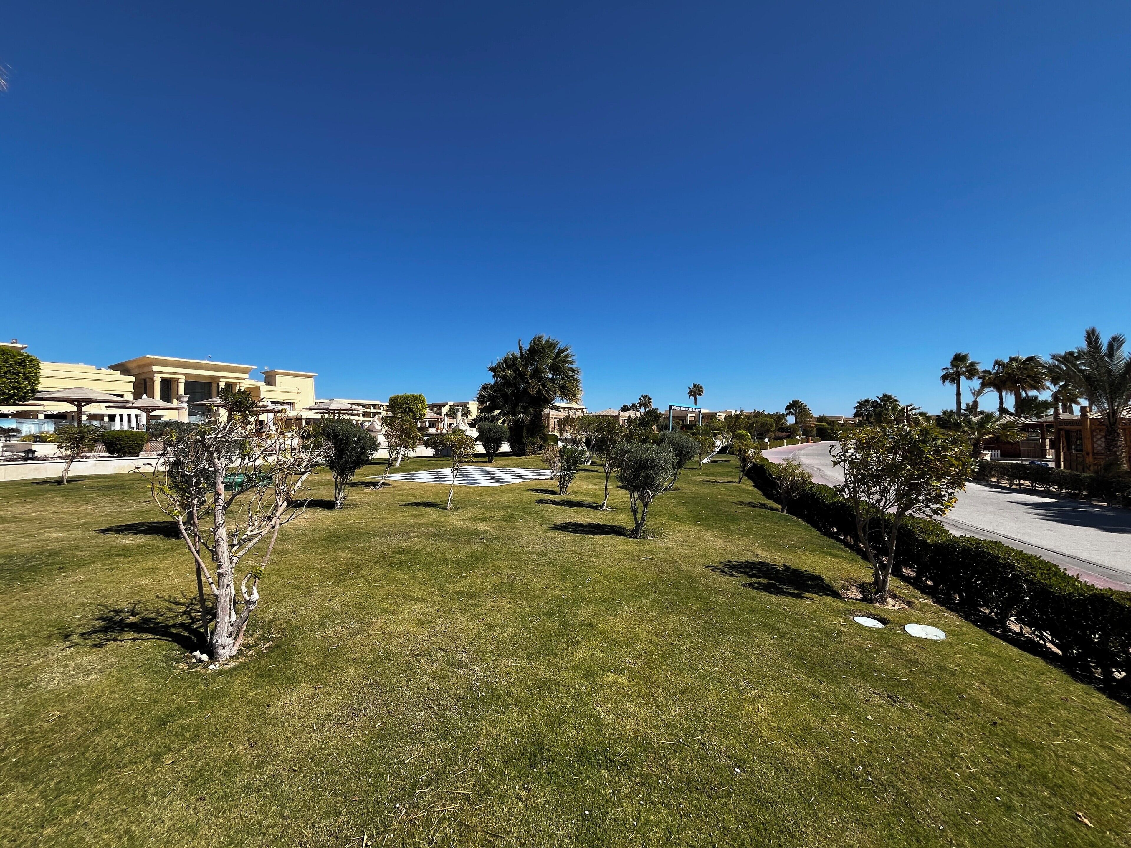 A well-maintained grassy area with a few trees, a clear blue sky, and a building with a beige facade in the background.