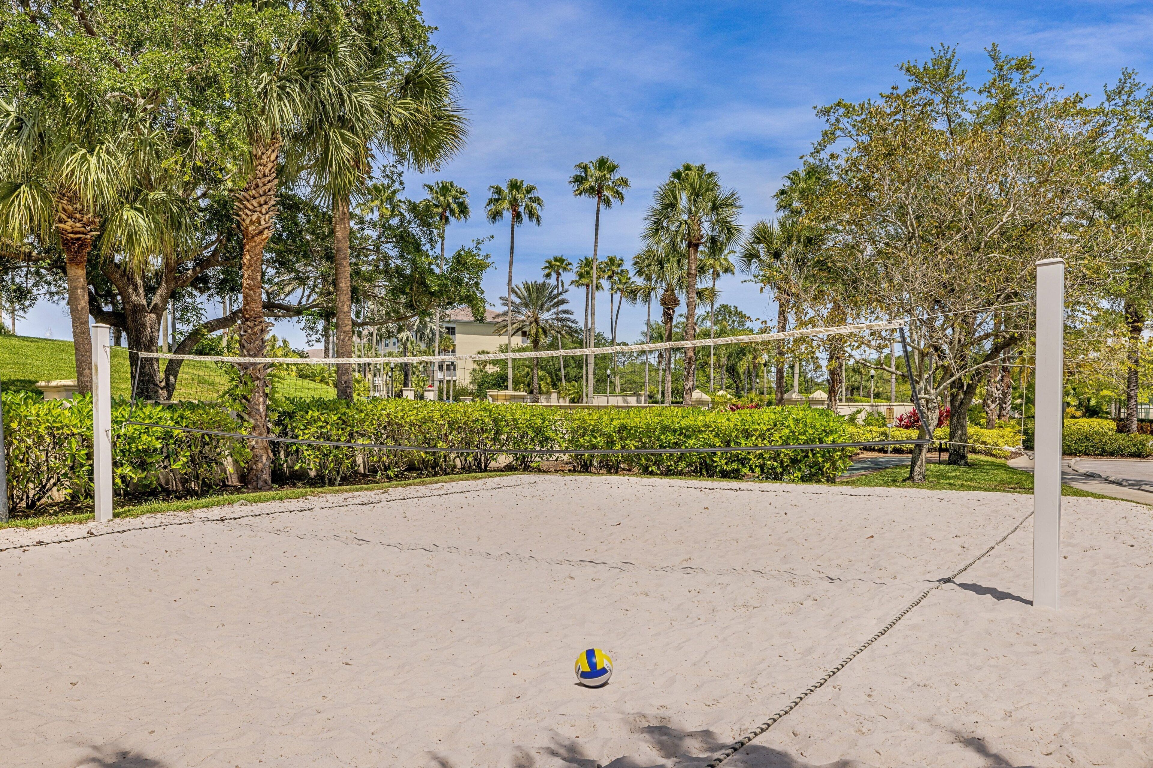 A sandy volleyball court with a net, surrounded by palm trees and greenery.