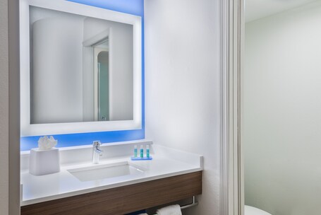Holiday Inn Express Suites Nearest Universal Orlando, an IHG Hotel - Image 29