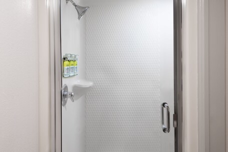 Holiday Inn Express Suites Nearest Universal Orlando, an IHG Hotel - Image 43