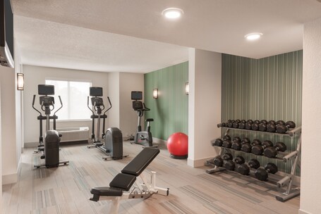 Holiday Inn Express Suites Nearest Universal Orlando, an IHG Hotel - Image 22