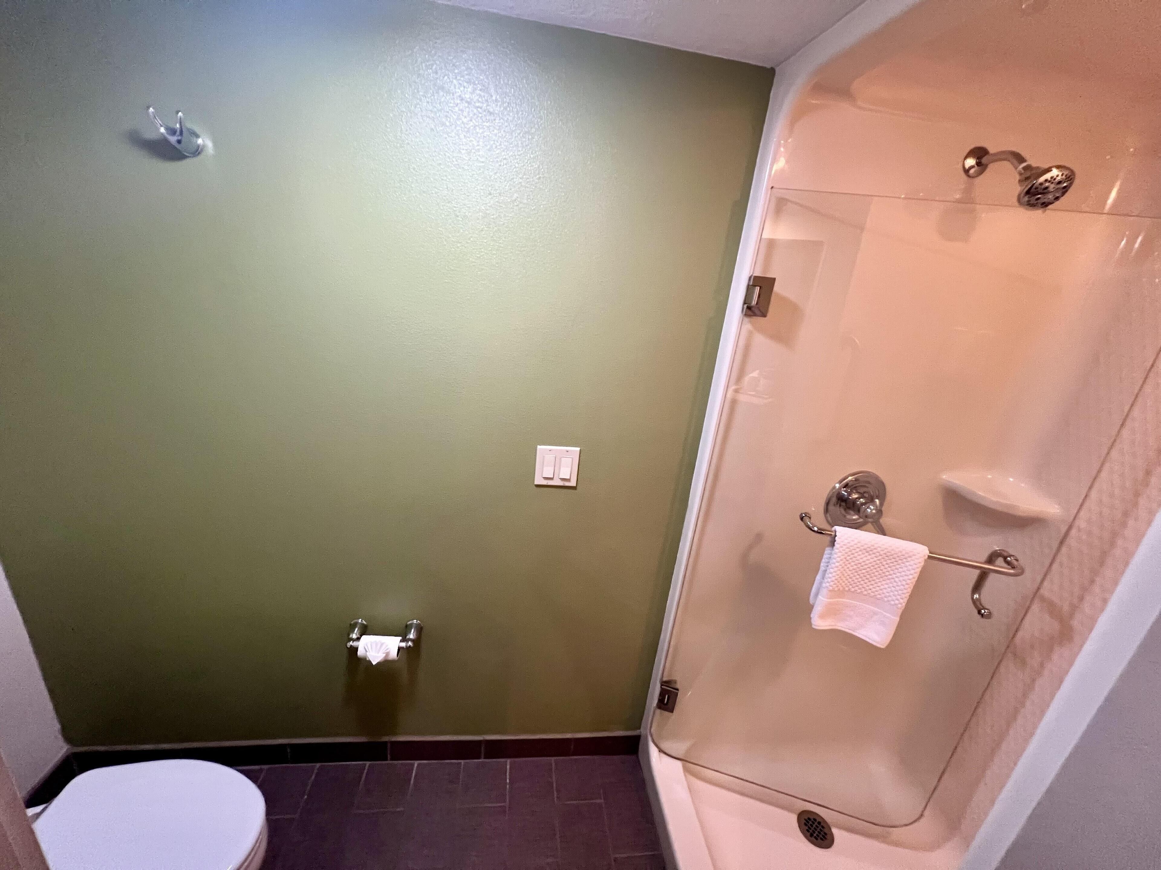 Een badkamer met toilet, douche en handdoekrek.