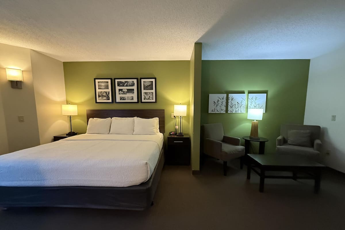 Suite, 1 trÚs grand lit, accessible aux personnes à mobilité réduite, non-fumeurs (Living Room) | Décoration personnalisée, ameublement personnalisé, bureau