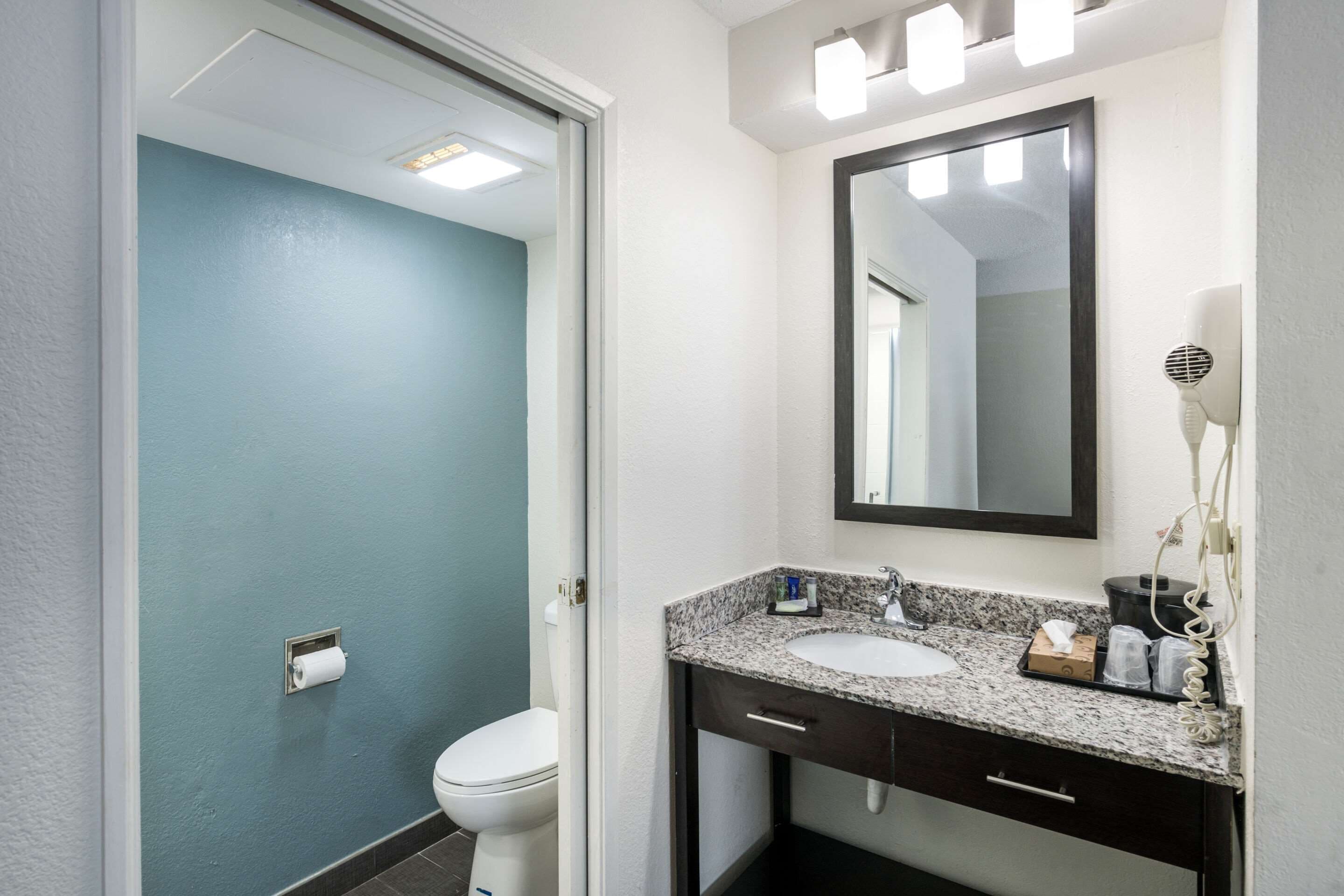A bathroom with a white toilet, a sink with a dark countertop, and a mirror above the sink.