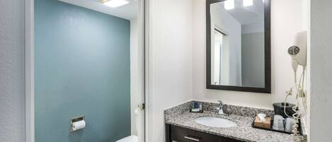 A bathroom with a white toilet, a sink with a dark countertop, and a mirror above the sink.