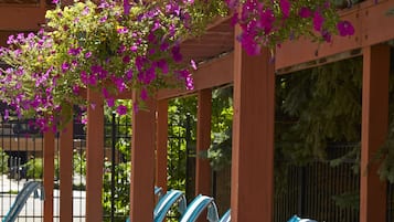Sun deck