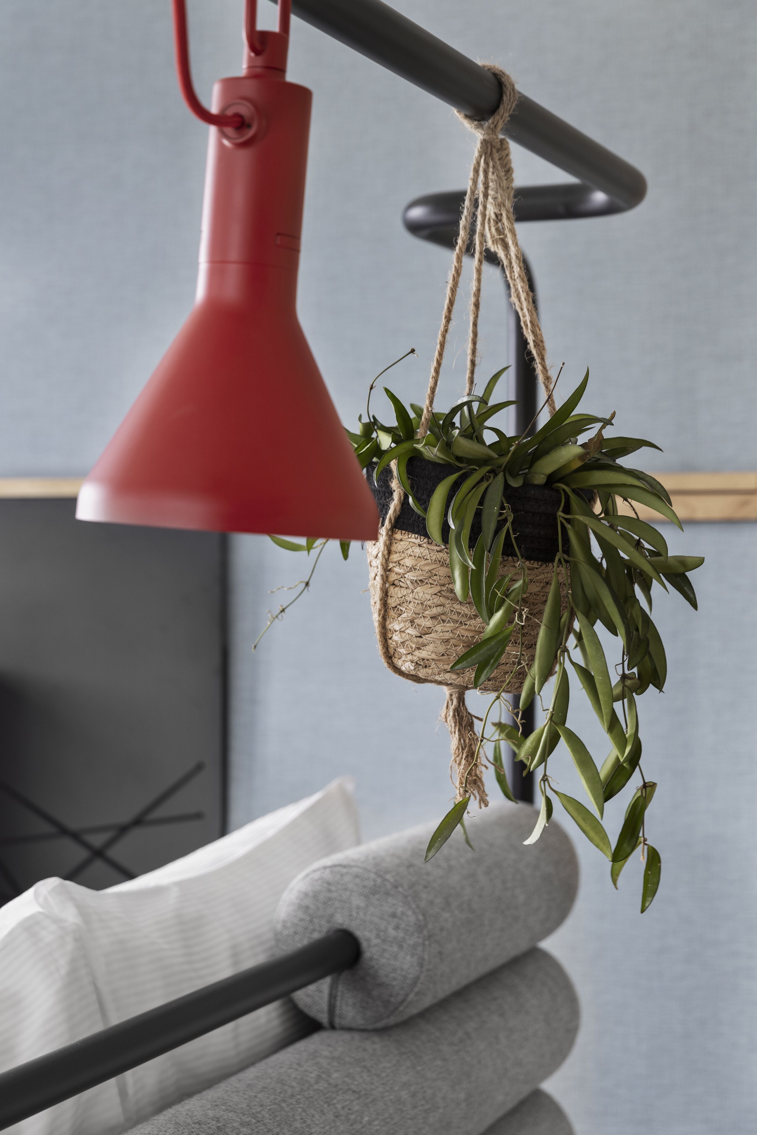 Una planta colgante con una lámpara roja arriba.