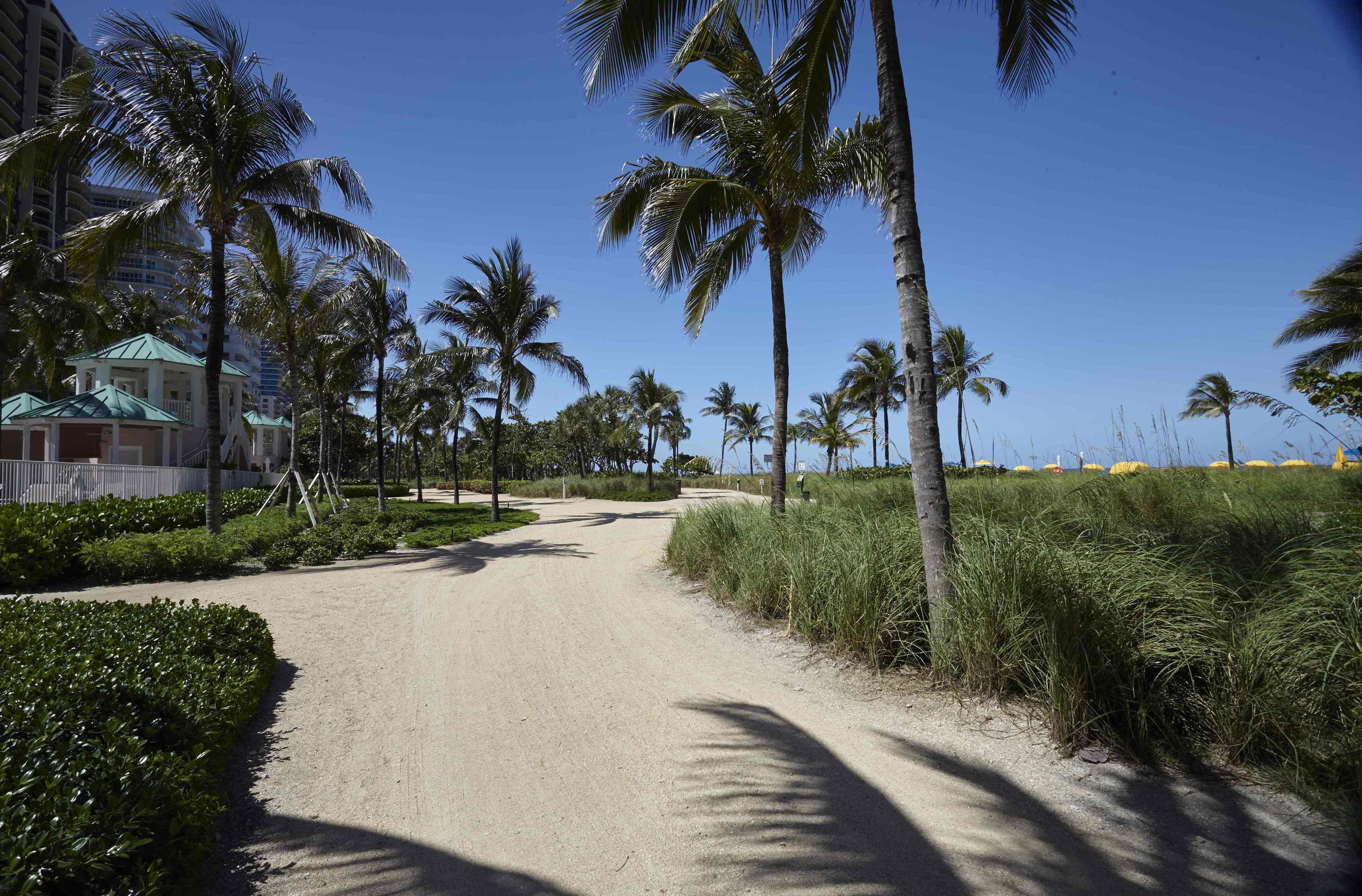 A paved pathway flanked by tall palm trees and dense greenery, leading towards a building with a green roof.