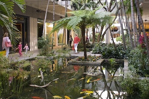 Vườn