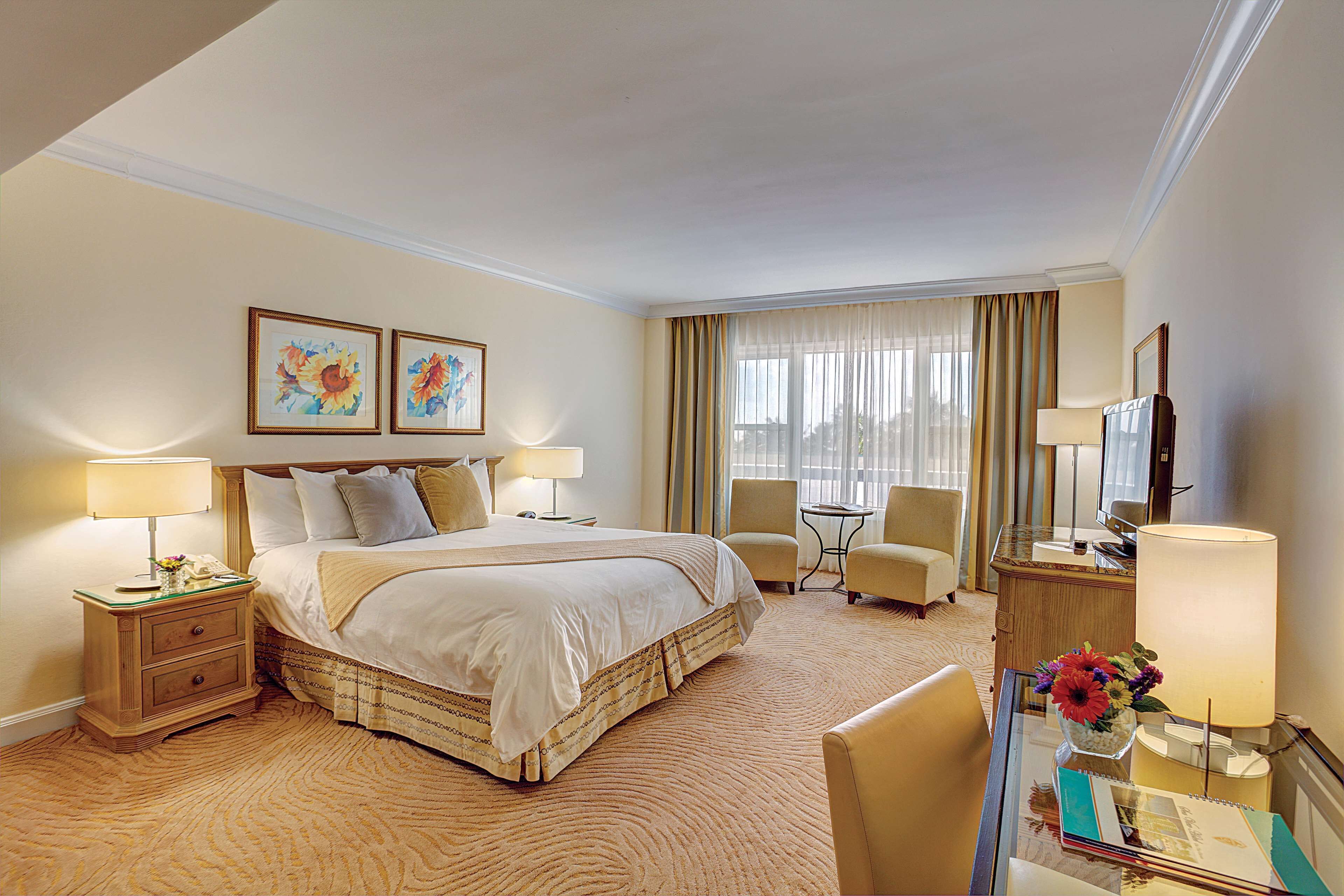 Standard Room no Balcony, 1 King Bed