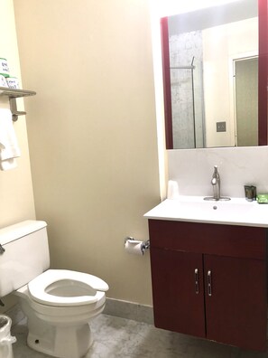 Combined shower/bathtub, free toiletries, hair dryer, towels