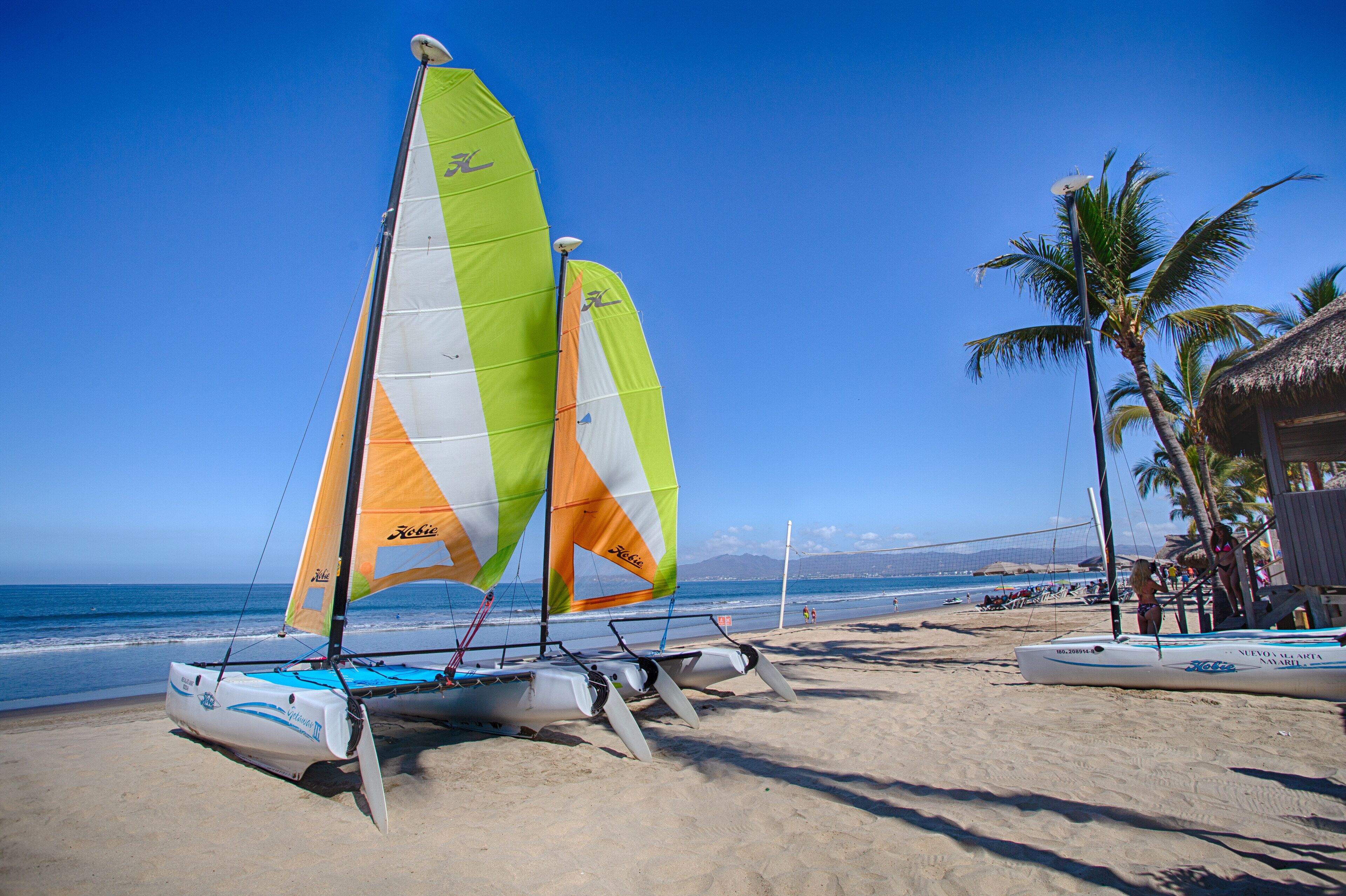 A beach with two sailboats and a palm tree.