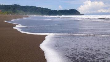 Rannalla, rantapyyhkeitä, rantabaari, surffausmahdollisuus