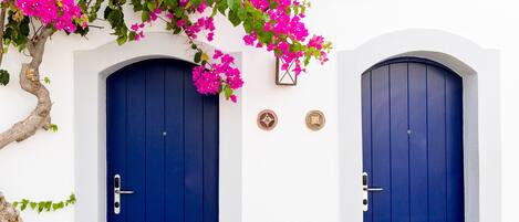 Dos puertas azules, una pared blanca y un árbol con flores rosadas.