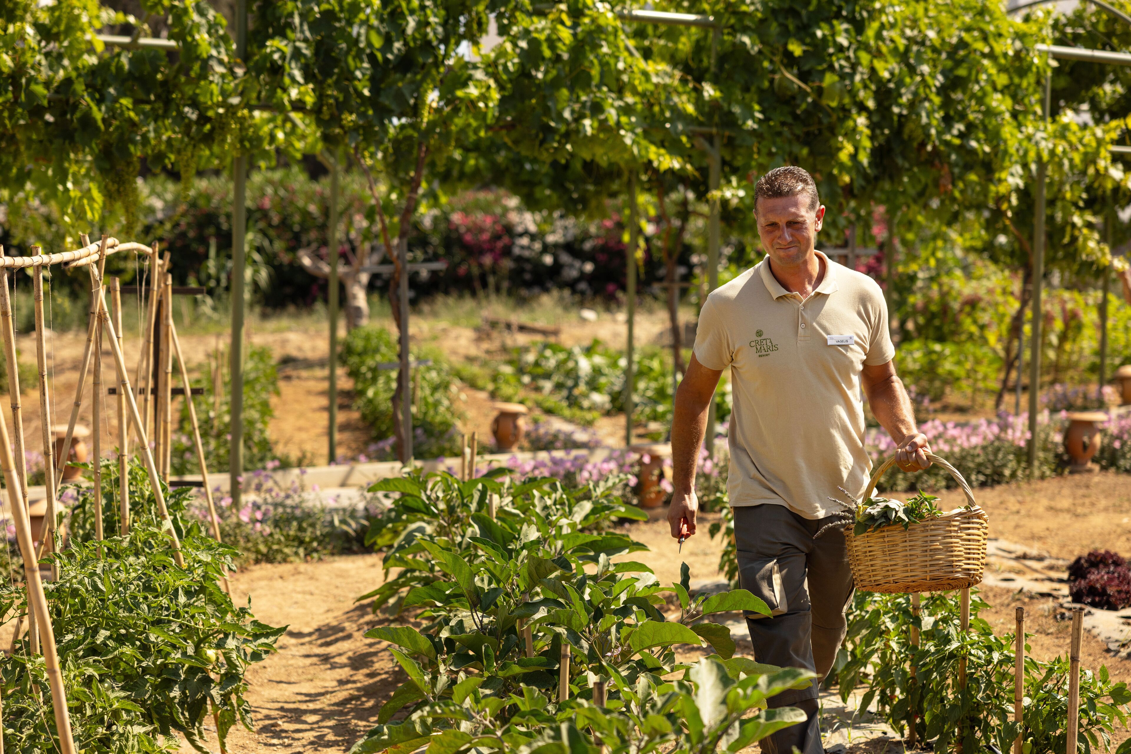 Photo - Creta Maris Resort