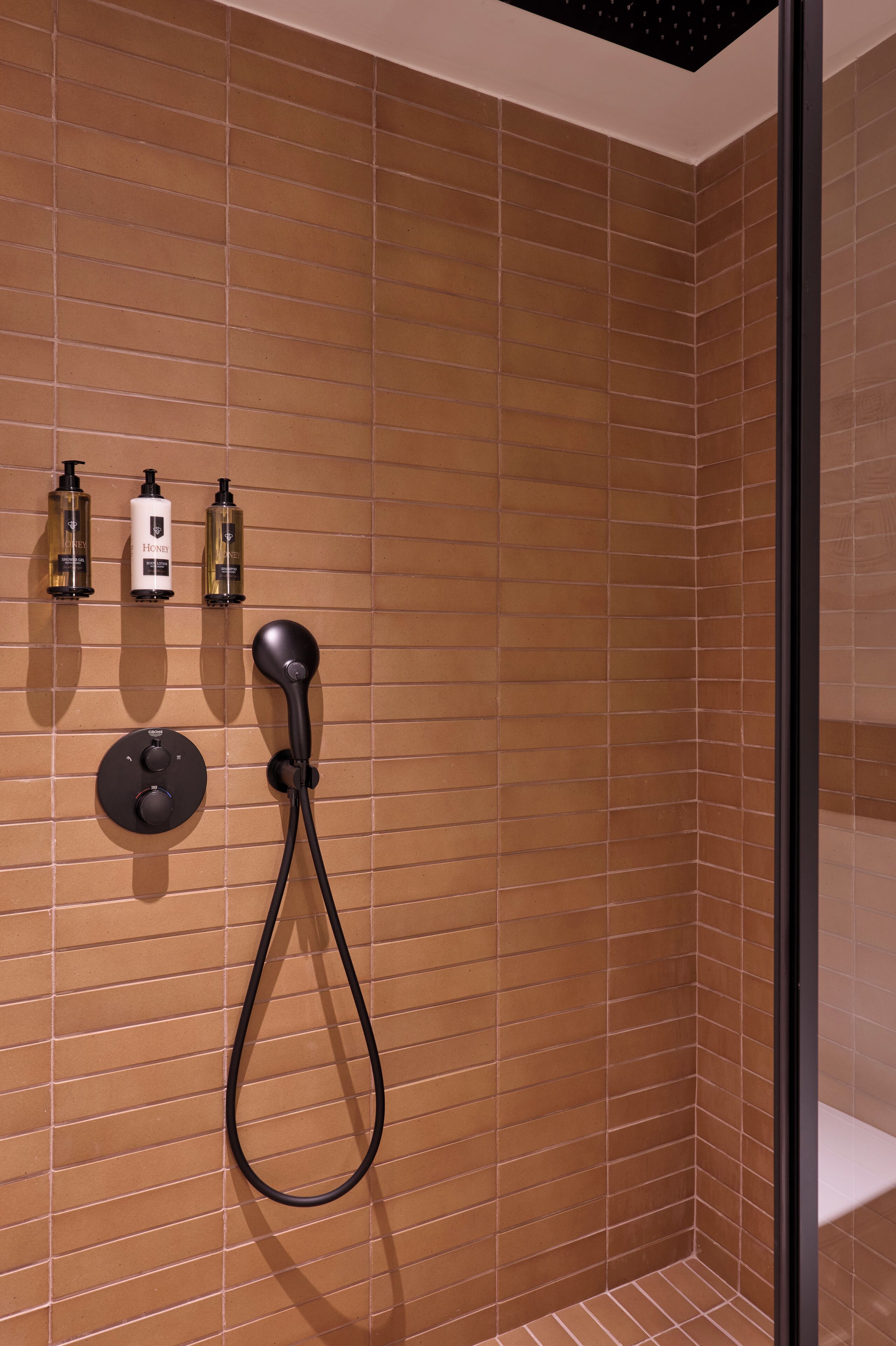 Ein Duschbereich mit braunen Fliesen, einer Handbrause sowie zwei Flaschen Shampoo und Conditioner an der Wand.