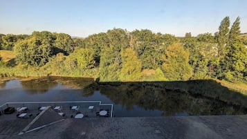 Een dakterras met een vijver, omringd door weelderige begroeiing en bomen.