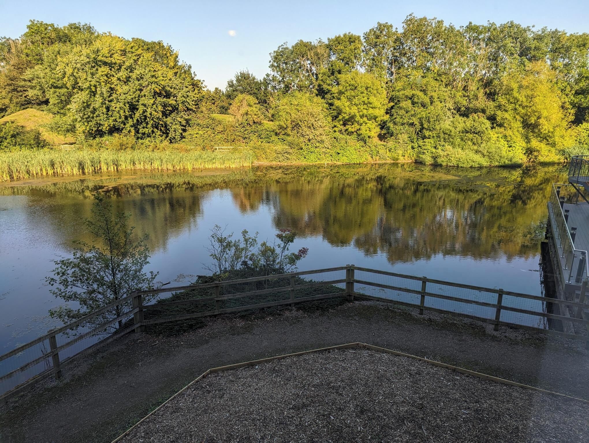 Vista desde la habitación