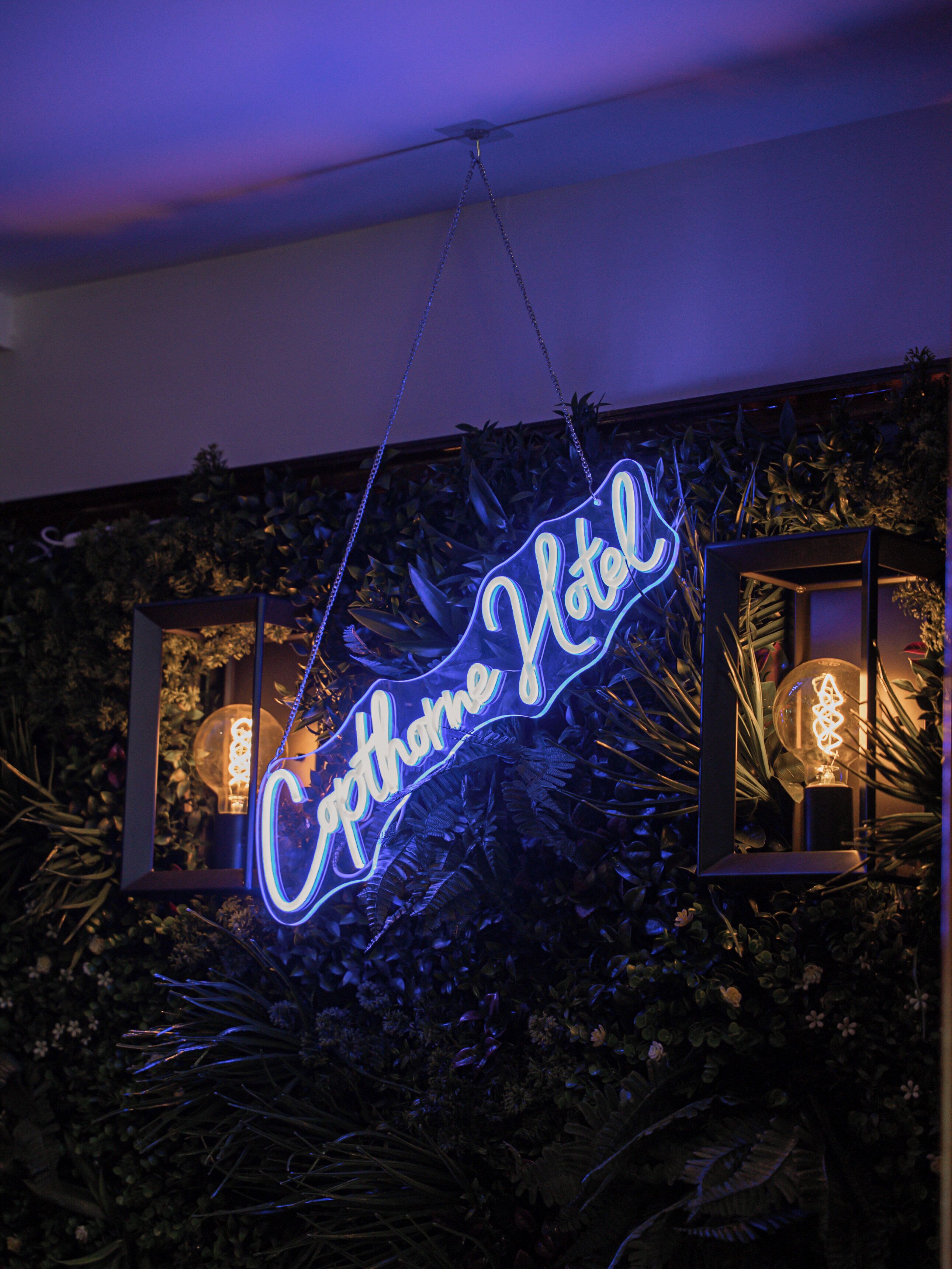 A neon sign for 'Catherine Hotel' with a modern design, hanging above a wall with plants and two lit-up vintage-style lamps.