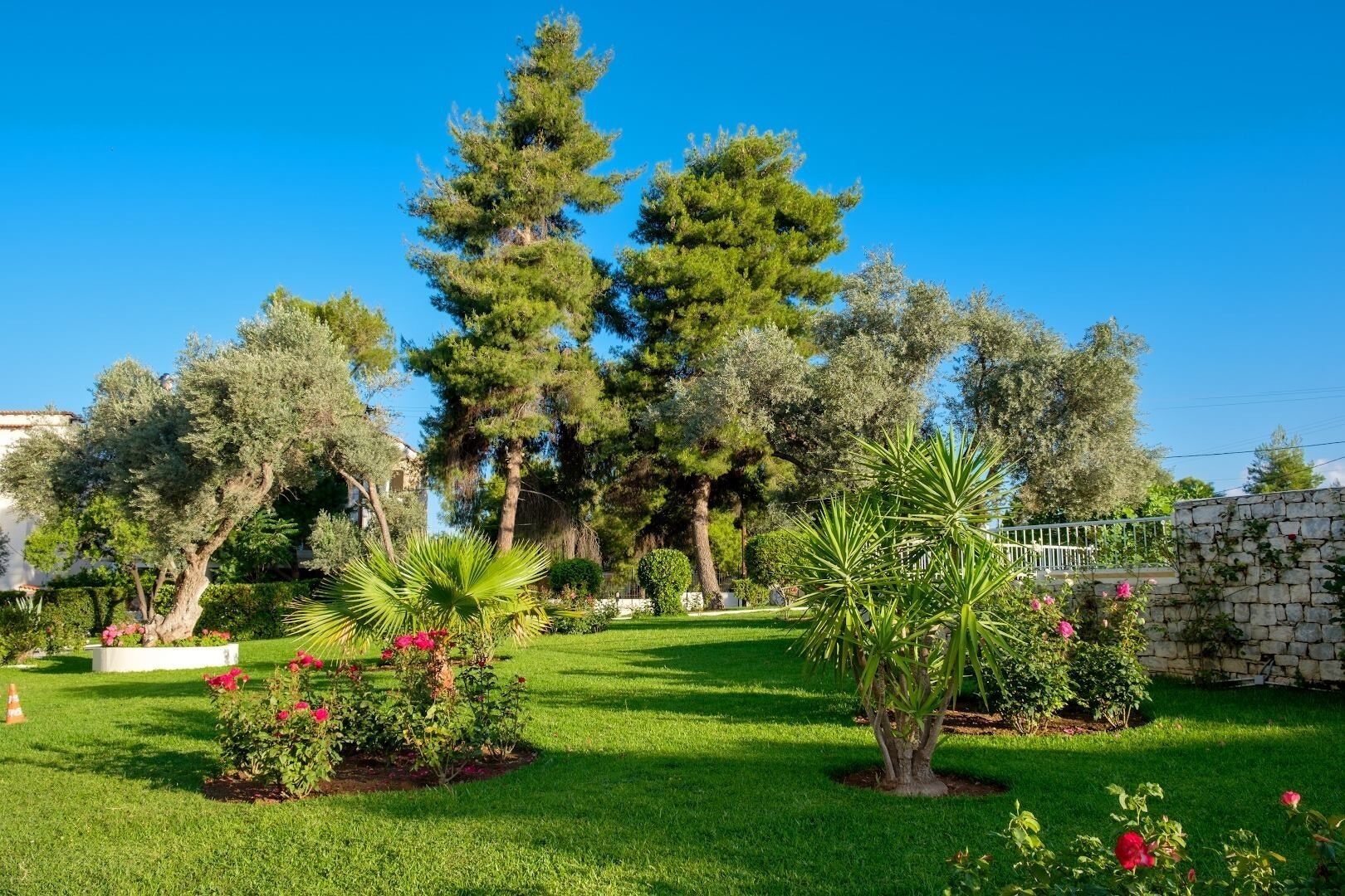 A well-maintained garden with various trees, including tall pine trees and smaller shrubs, and a stone wall.