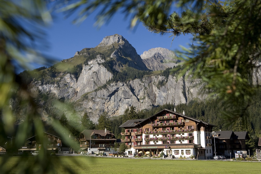 Hotel-Restaurant Bernerhof image