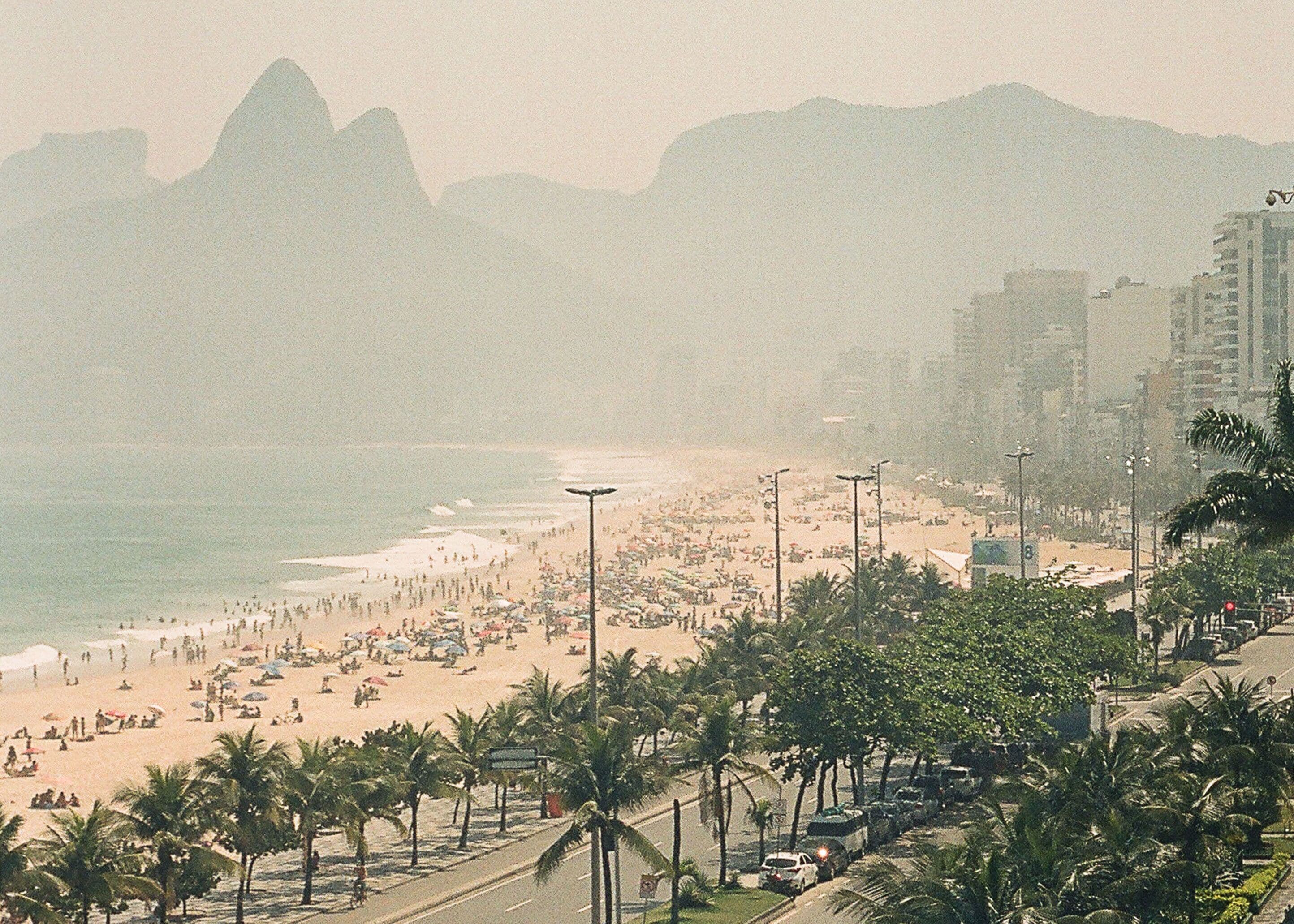 A beach with palm trees, a road, and buildings in the background.