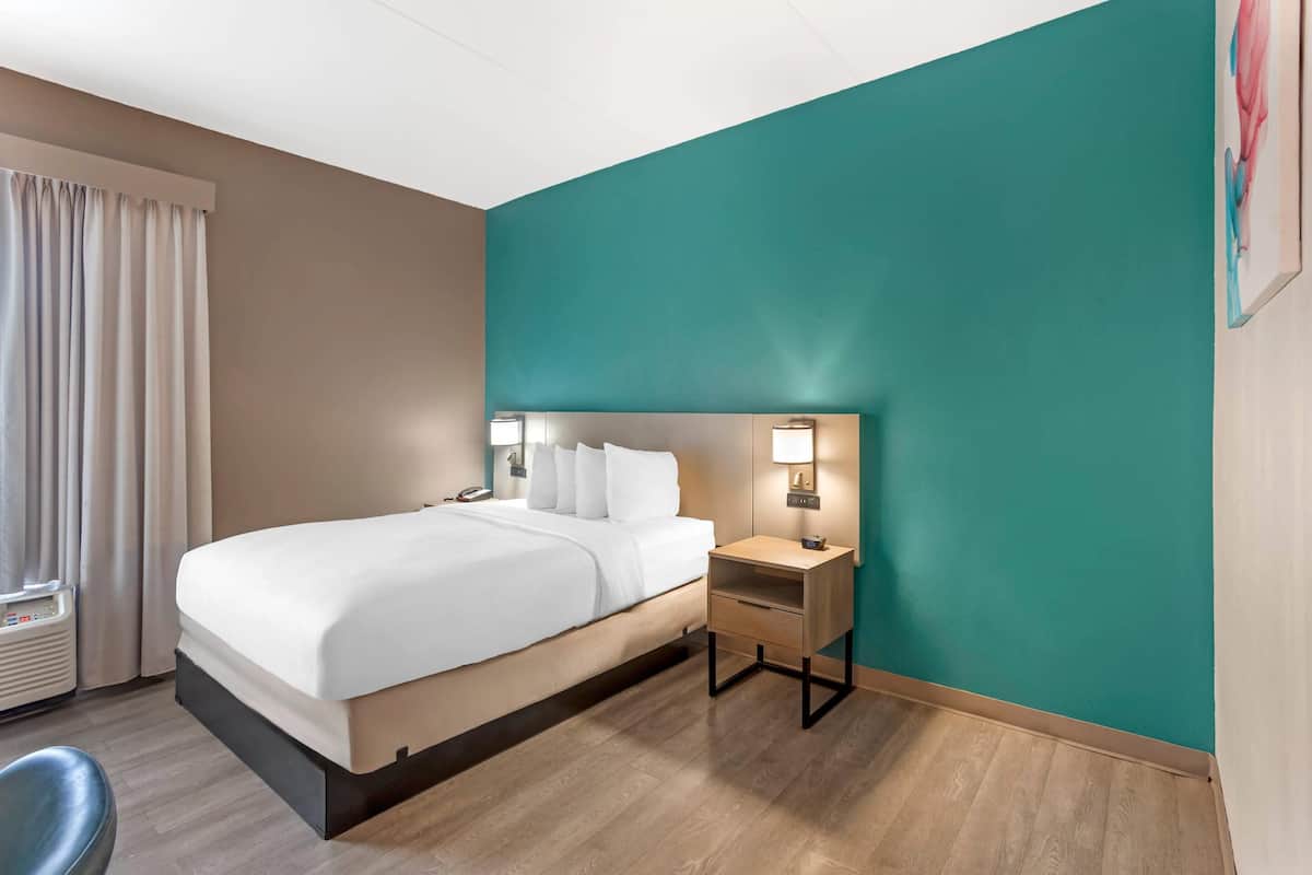Hypo-allergenic bedding, down duvets, in-room safe, desk