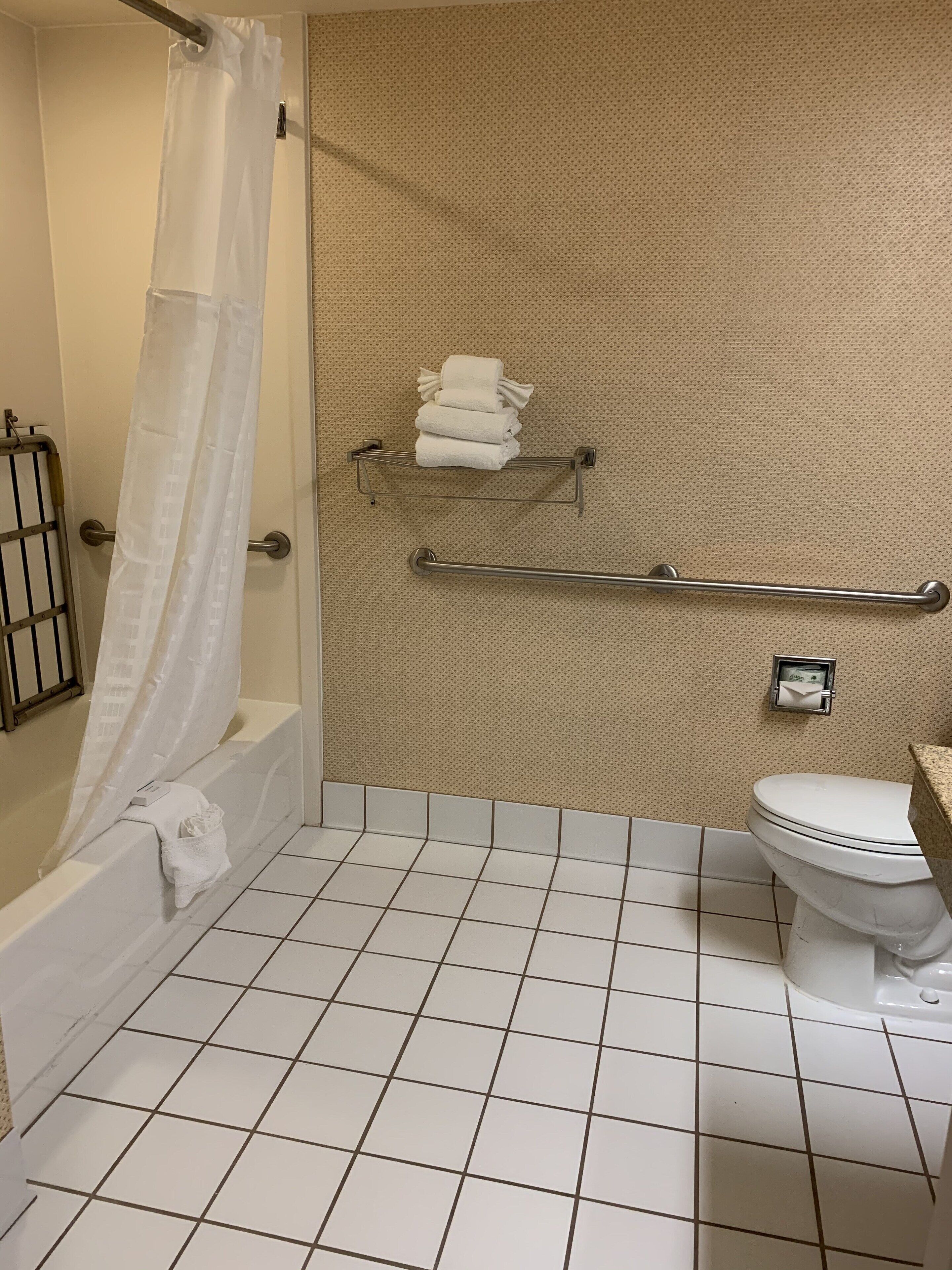 A bathroom with a shower, toilet, and a towel rack.