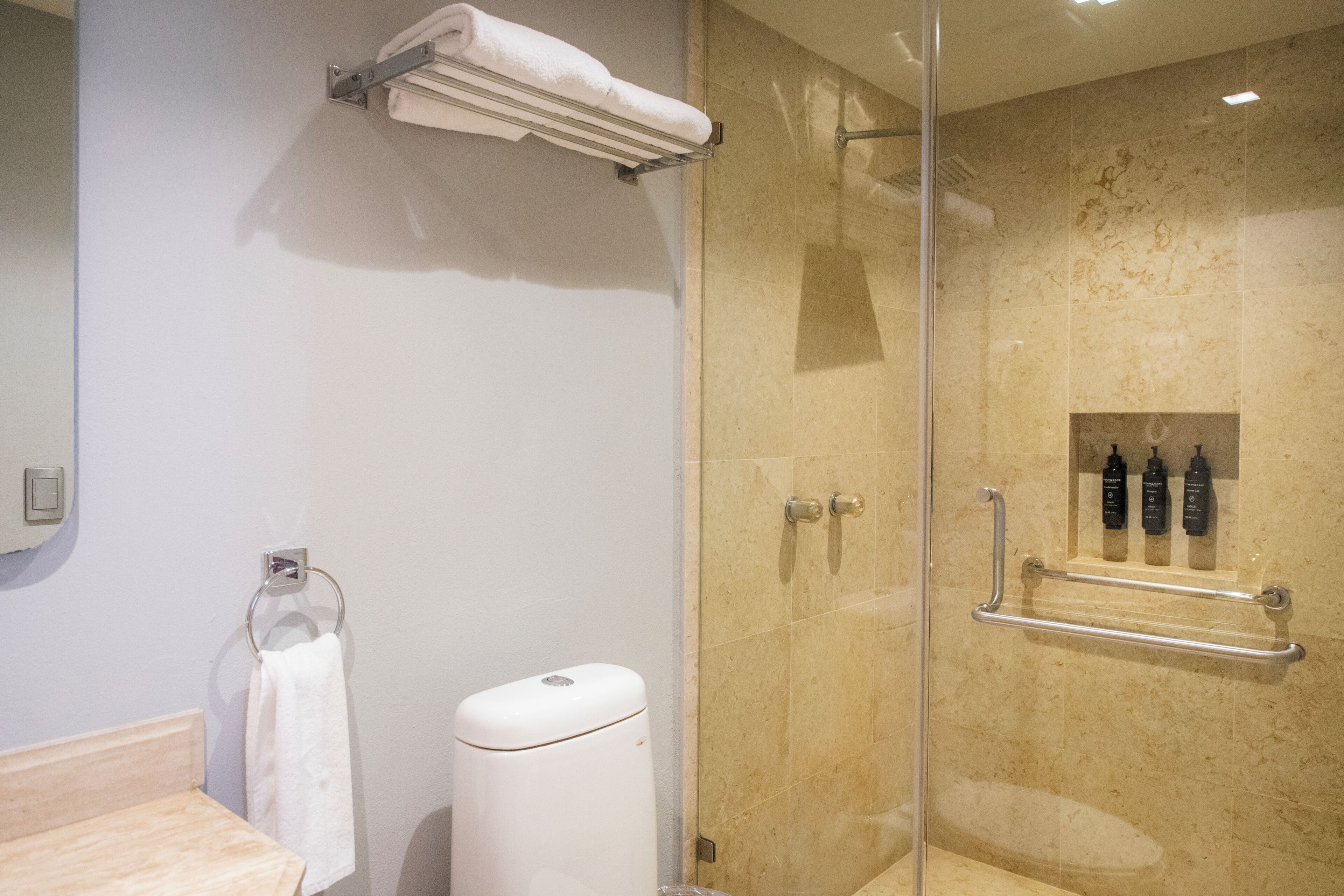A bathroom with a glass-enclosed shower, a towel rack, a soap dispenser, and a handrail.