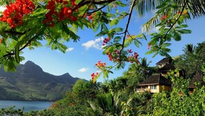 Property grounds - Nuku Hiva Keikahanui Pearl Lodge (Nuku Hiva)