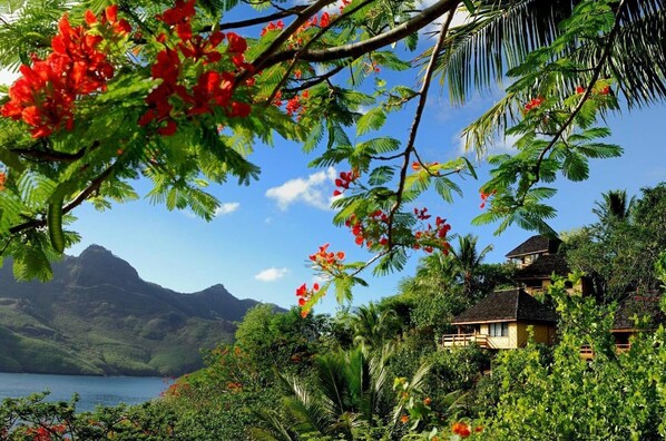 Property grounds - Nuku Hiva Keikahanui Pearl Lodge (Nuku Hiva)