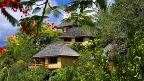 Unclassified image, 5 of 72, button - Nuku Hiva Keikahanui Pearl Lodge (Nuku Hiva)