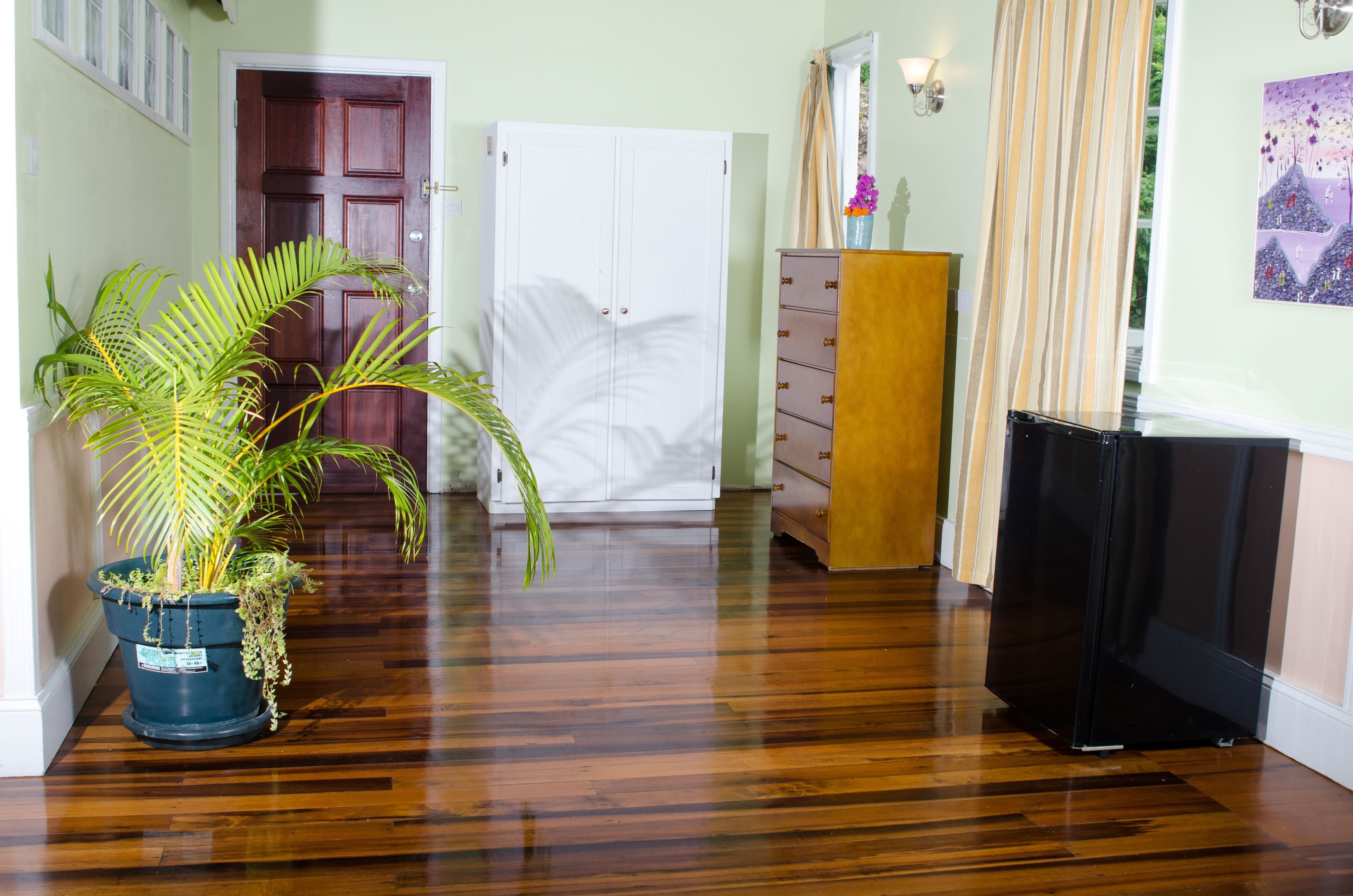 Un pasillo con suelo de madera, una planta en maceta, un armario blanco, un aparador de madera y un televisor negro.