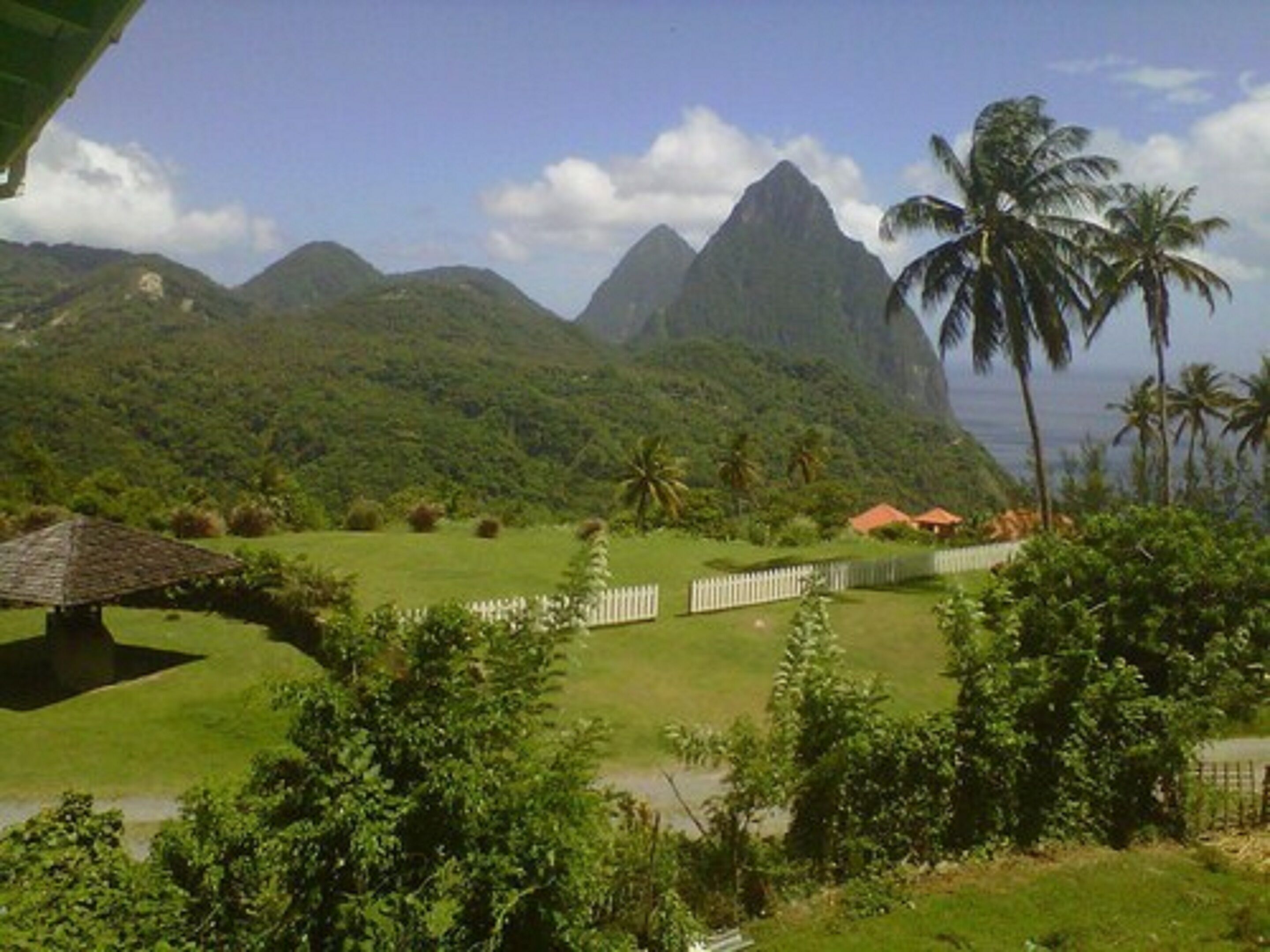 A lush green landscape with a white fence, a thatched-roof structure, and palm trees.