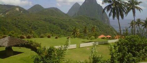A lush green landscape with a white fence, a thatched-roof structure, and palm trees.