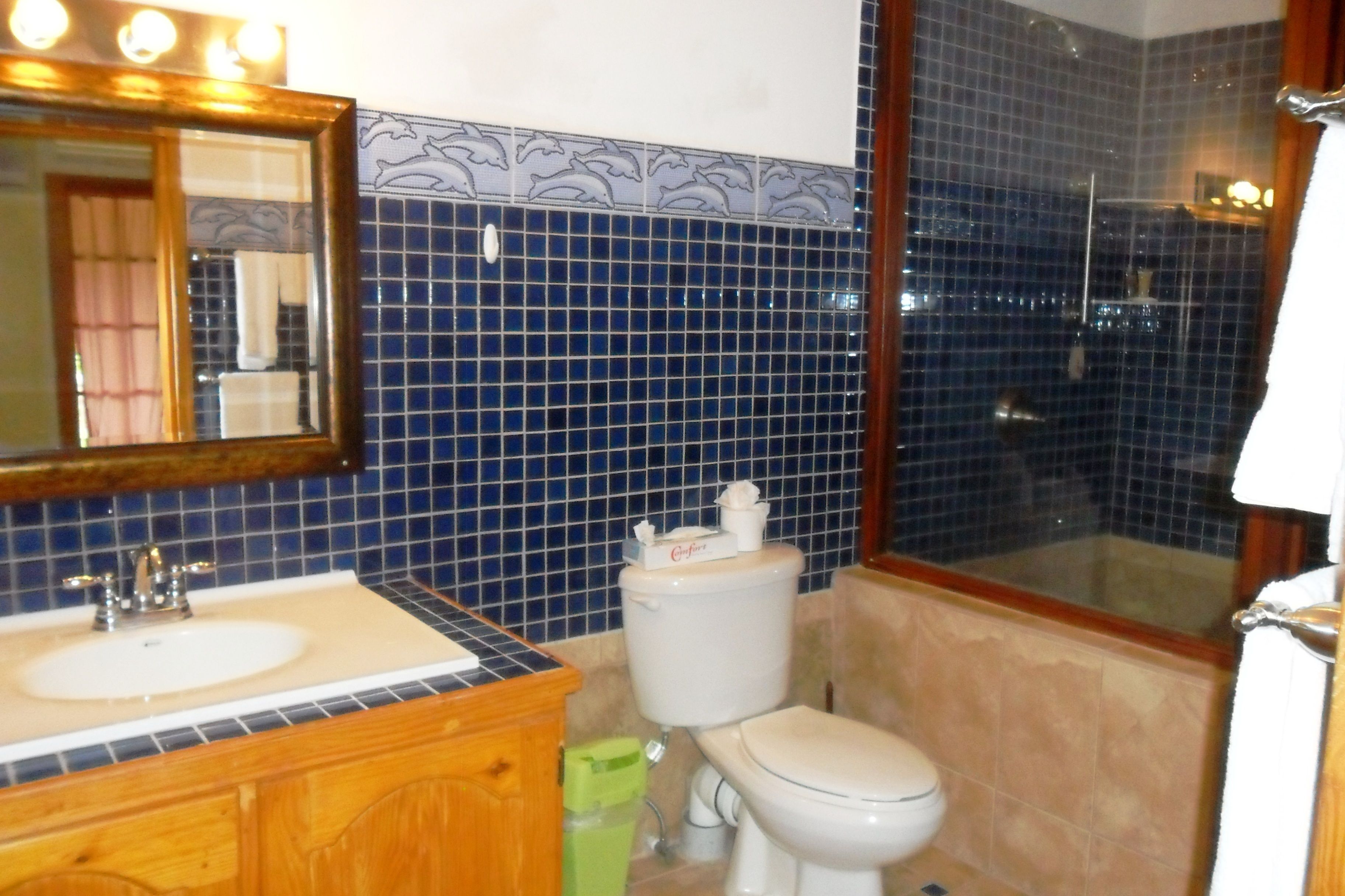 Een badkamer met een wastafel, toilet en douche.