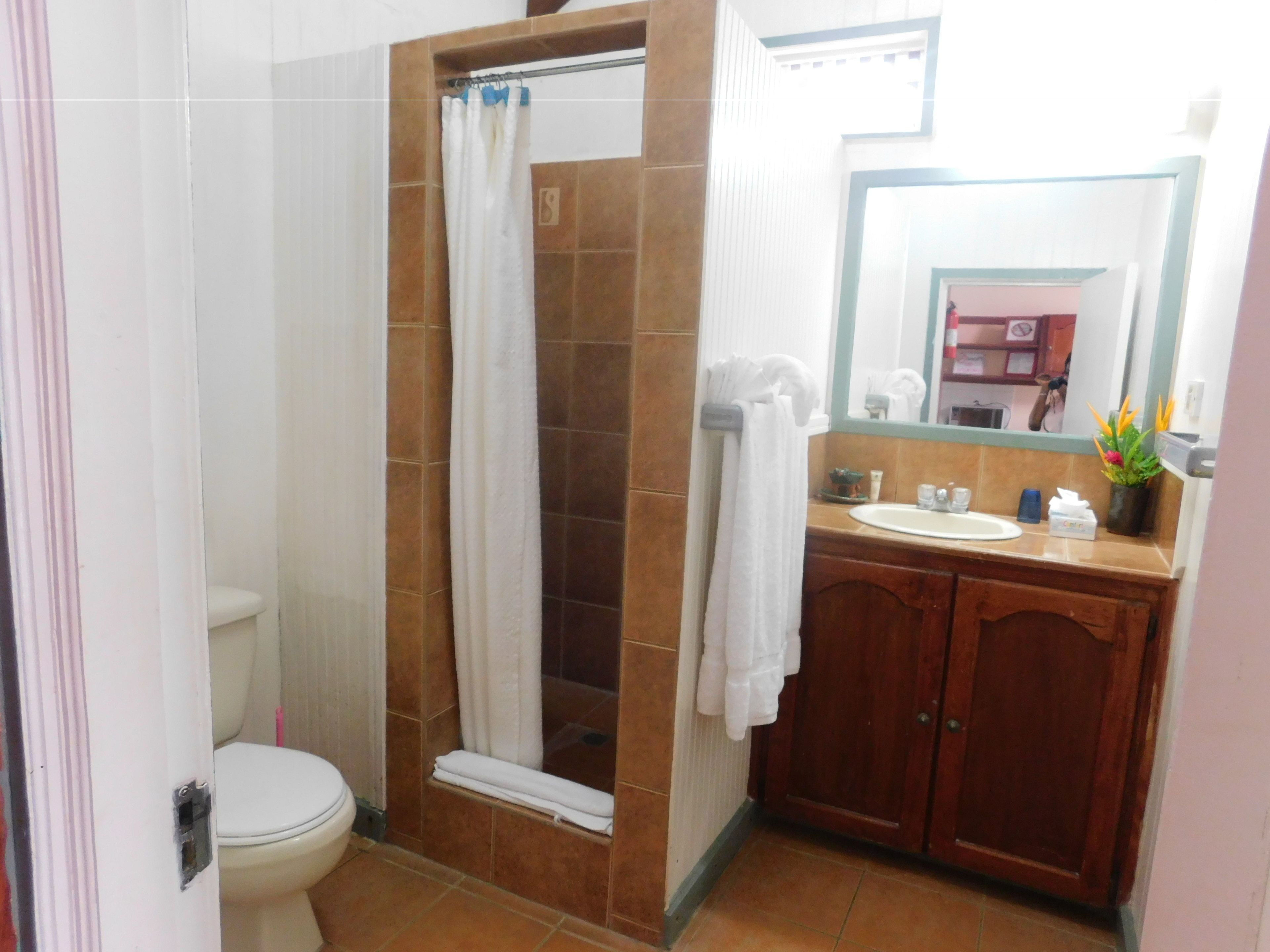 A bathroom with a shower, toilet, sink, and a mirror.