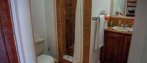 Un baño con ducha, inodoro y lavabo.