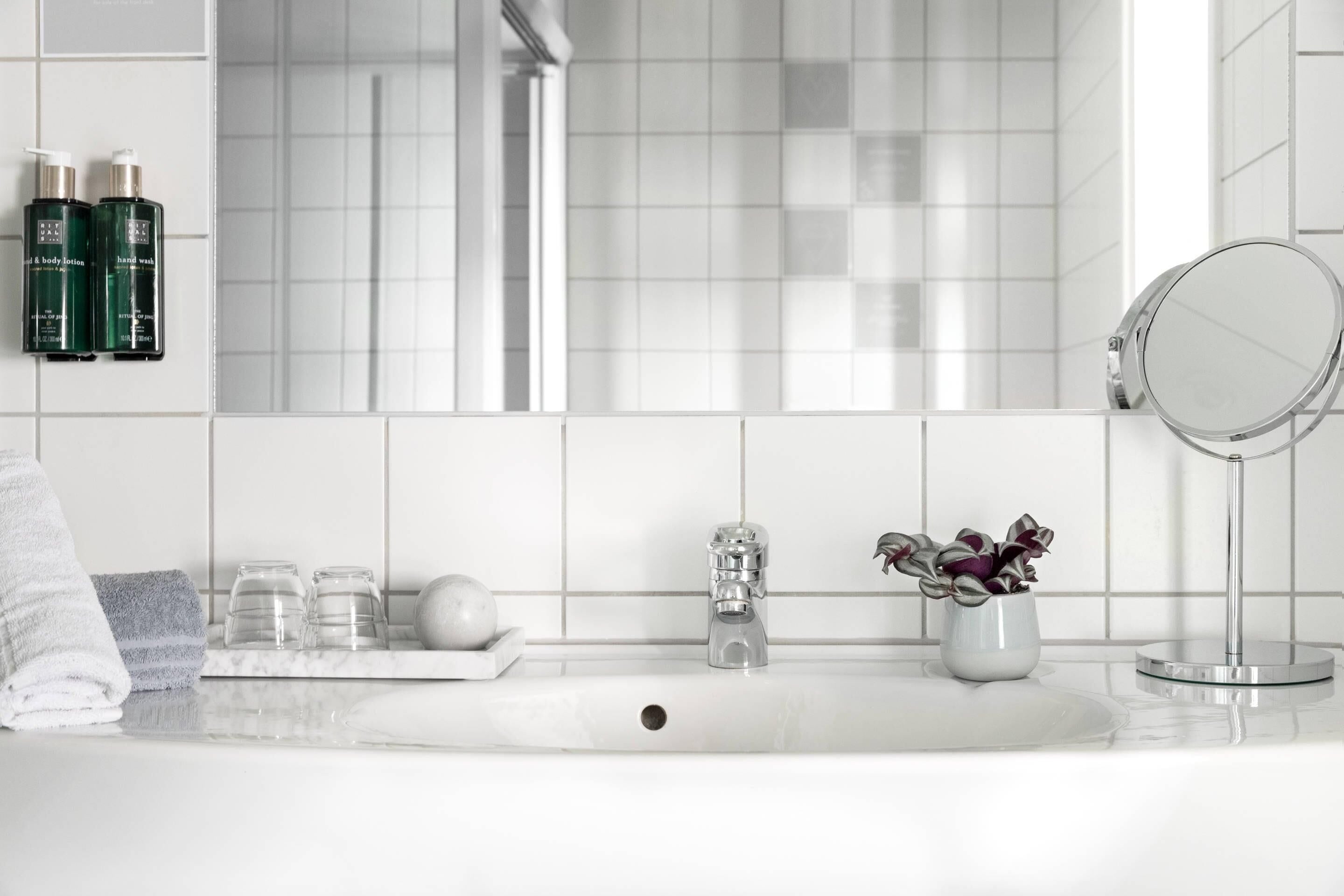 Une salle de bain avec un lavabo blanc, un miroir, une plante et des articles de toilette accrochés au mur.