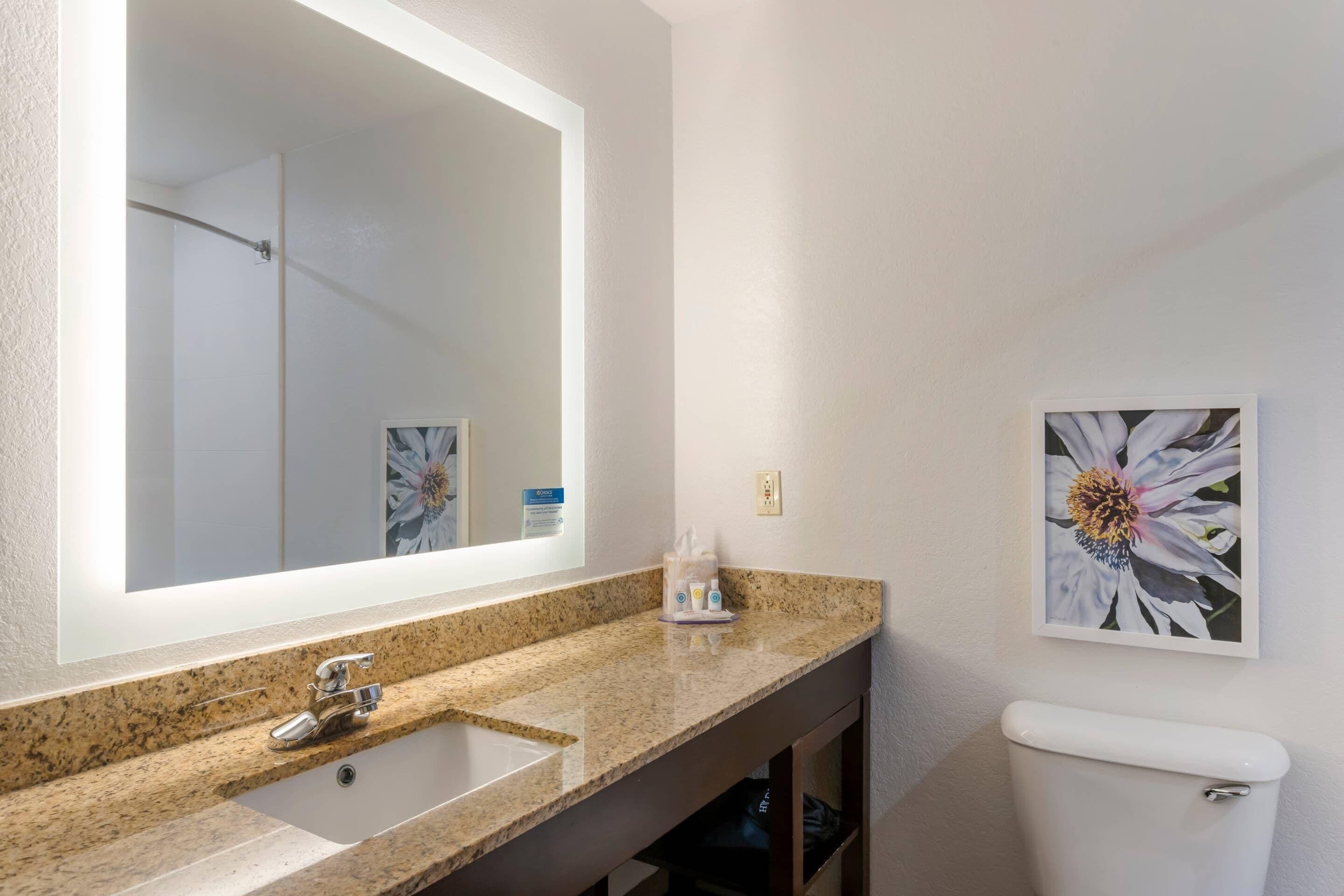 A bathroom with a granite countertop, a large mirror, a toilet, and a framed floral artwork on the wall.